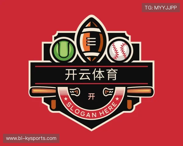 介绍开云平台
